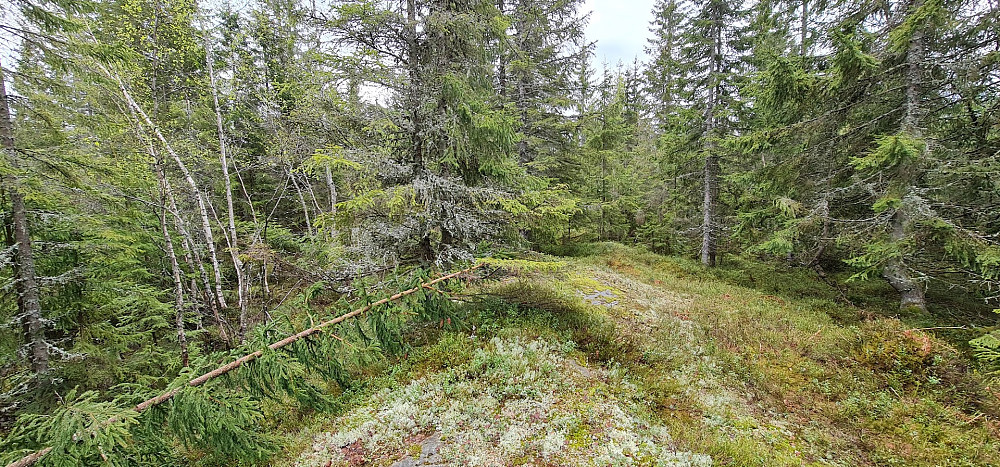 The great peak of Hestemyråsen...
