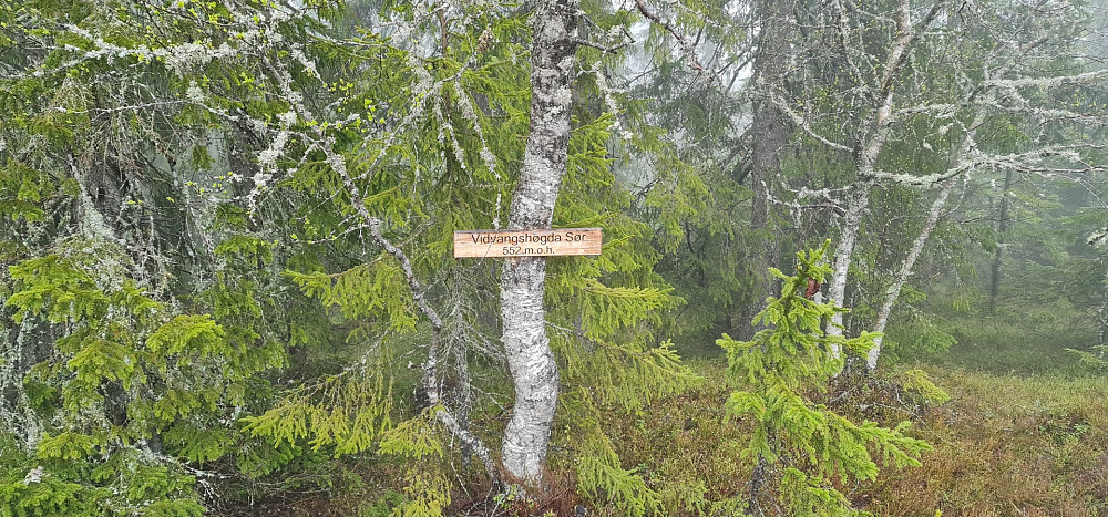 Vidvangshøgda sør, mener noen...