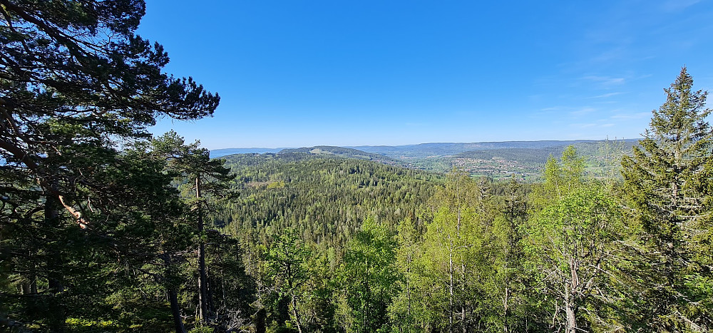 Fra utsikten ved Brunkollen