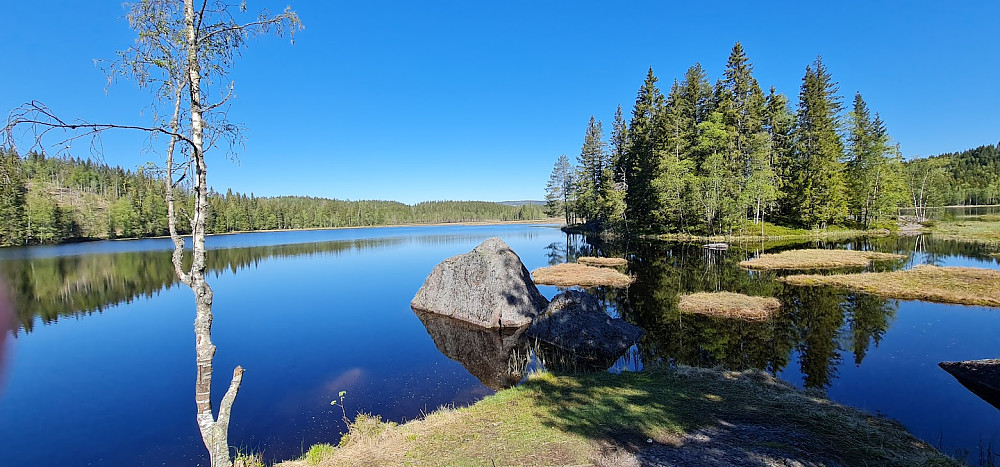 Triungsvanna