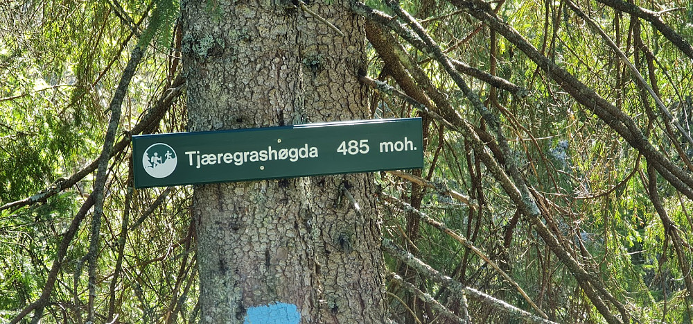 Tjæregrashøgda, dag 2