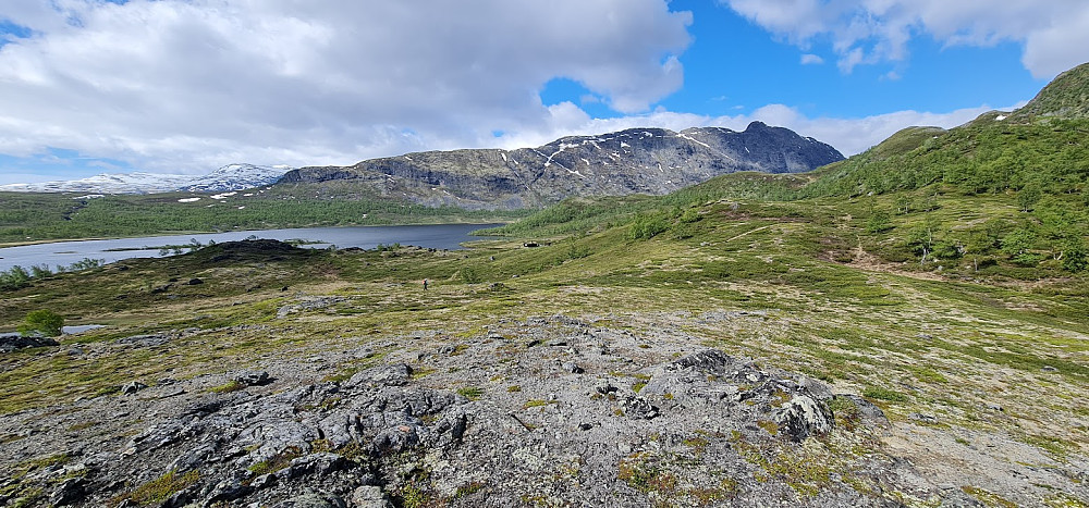 På vei innover