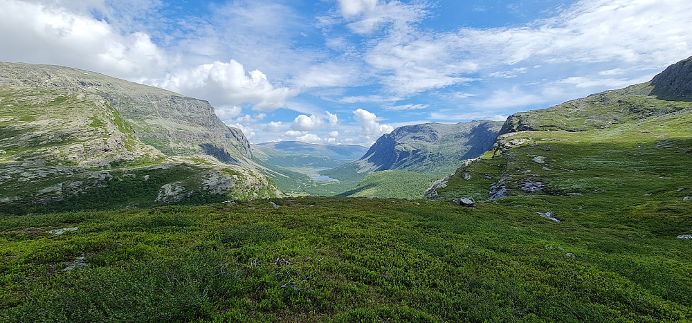 Flott natur innover Hydalen