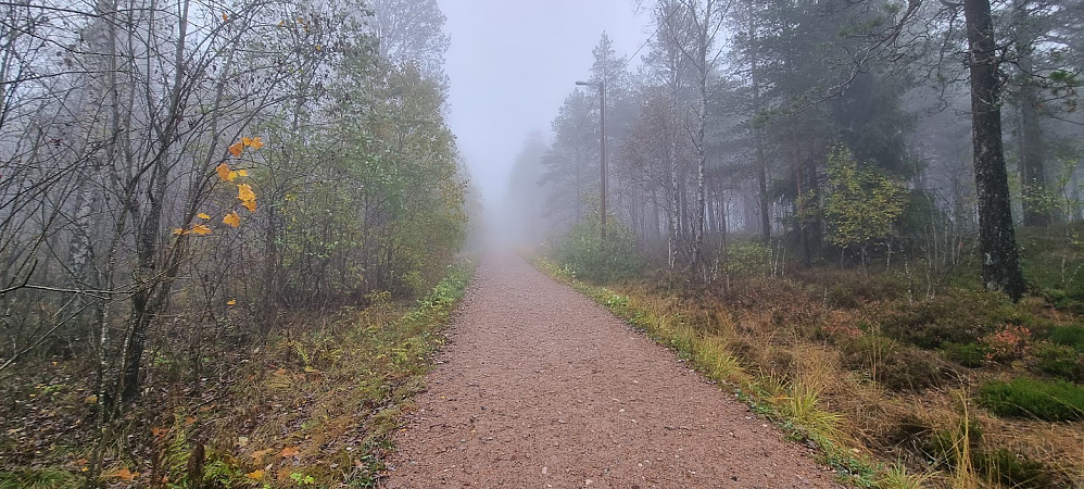 Trollsk i skogen