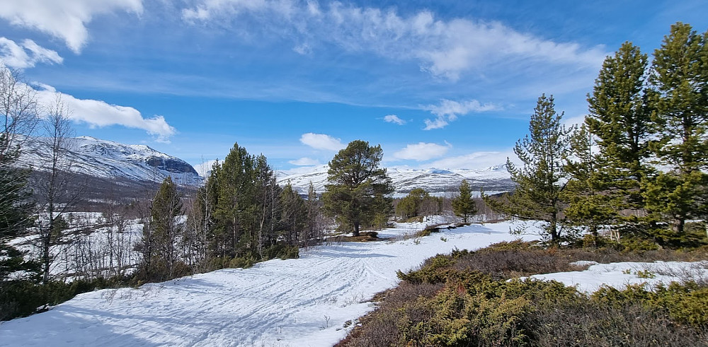Snuplassen vår