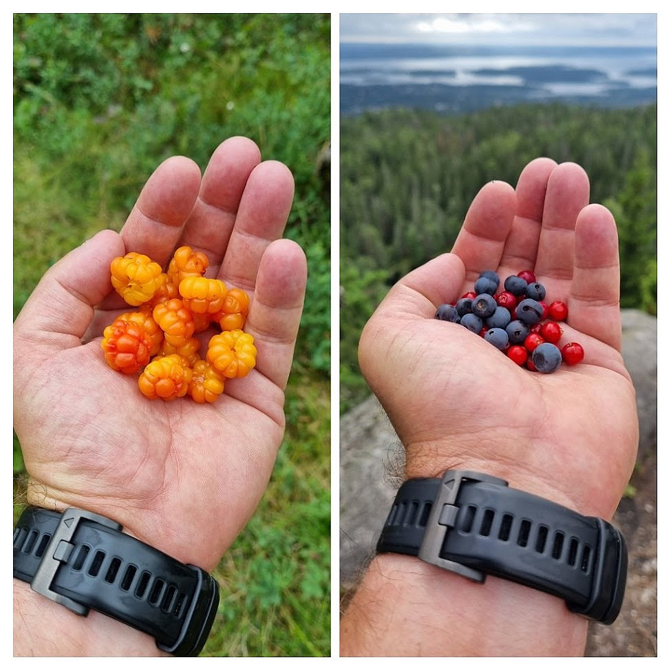 Oransje, rødt og blått