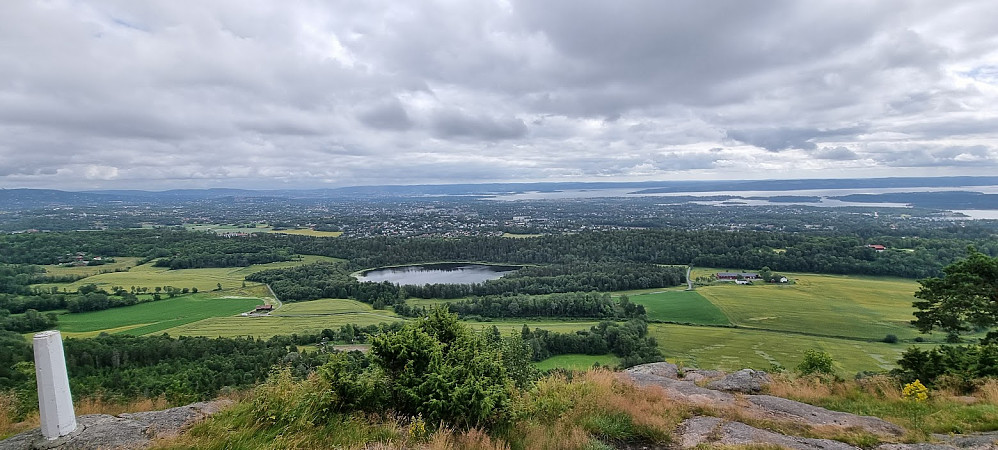 Gråmagan