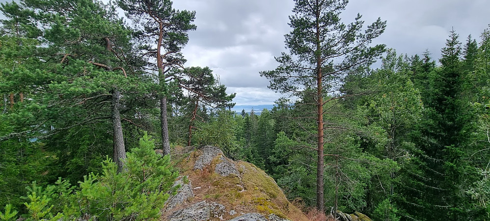 Kolsås NØ