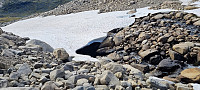 ArvinDeep_20220823_63052fc2e078e.jpg