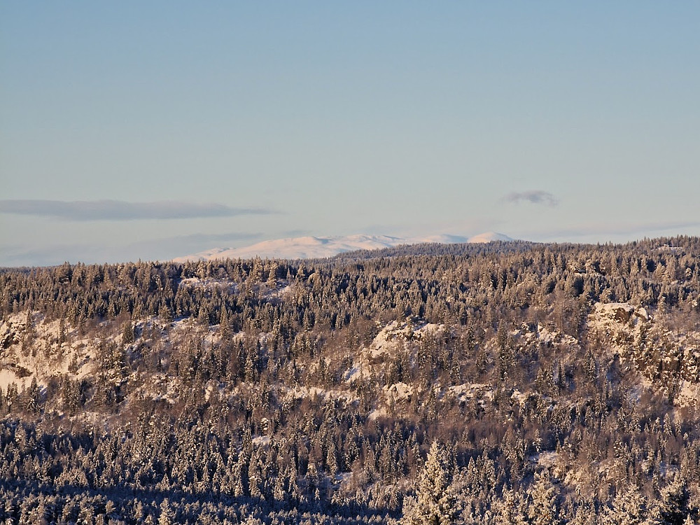 Norefjell sett fra Nordre Kolsås