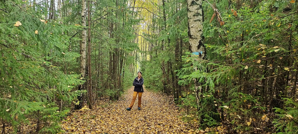 Flotte farger i skogen