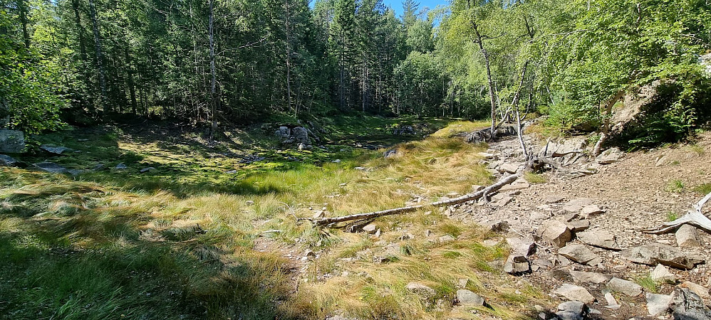 Tørt i naturen og strømprisen fyker til himmels