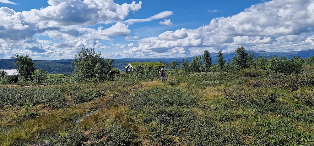 Forlater veien og over på sti - over moltemyrene