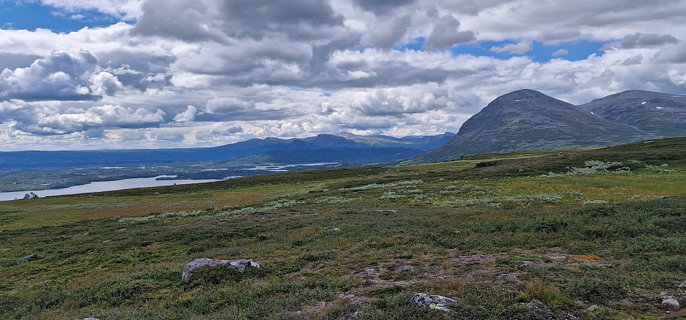 Mot Skogshorn