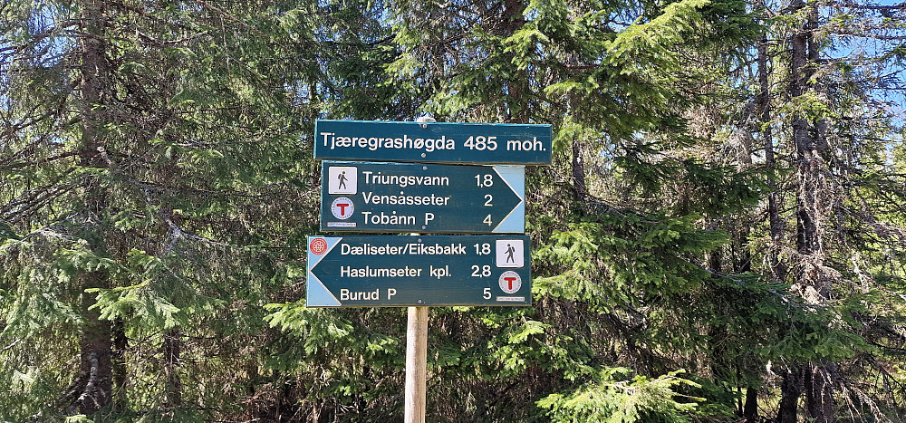 Stidelet på Tjæregrashøgda