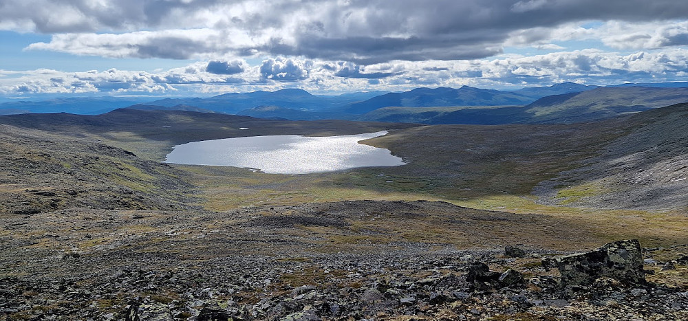 Sylvetjørni sett fra oppstigningen på Saukampen