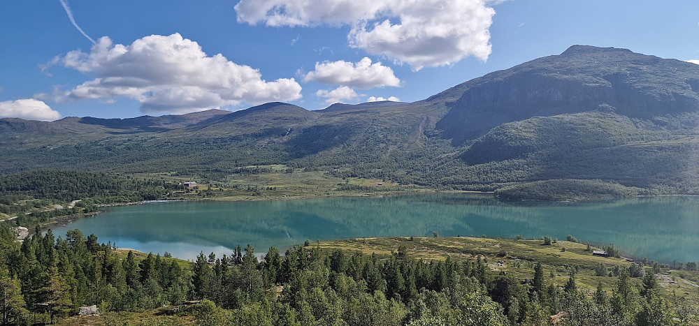 Mot Gammelosen og Grasvikje