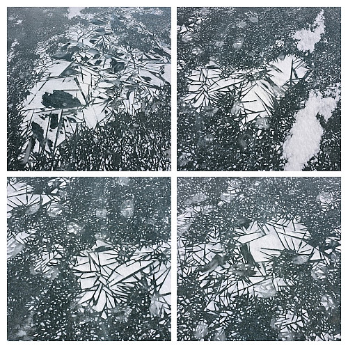 Naturens egen mosaikk - på isen