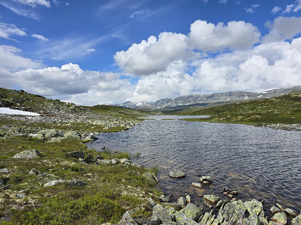Langetjørni