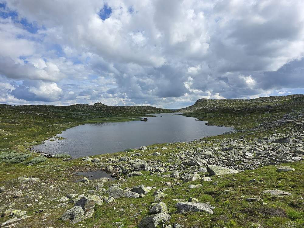 Langetjørni