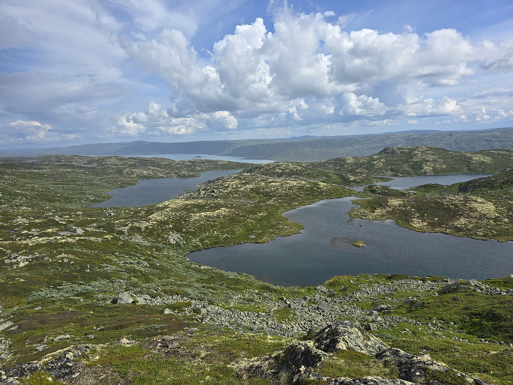 Fra Kvasshovda