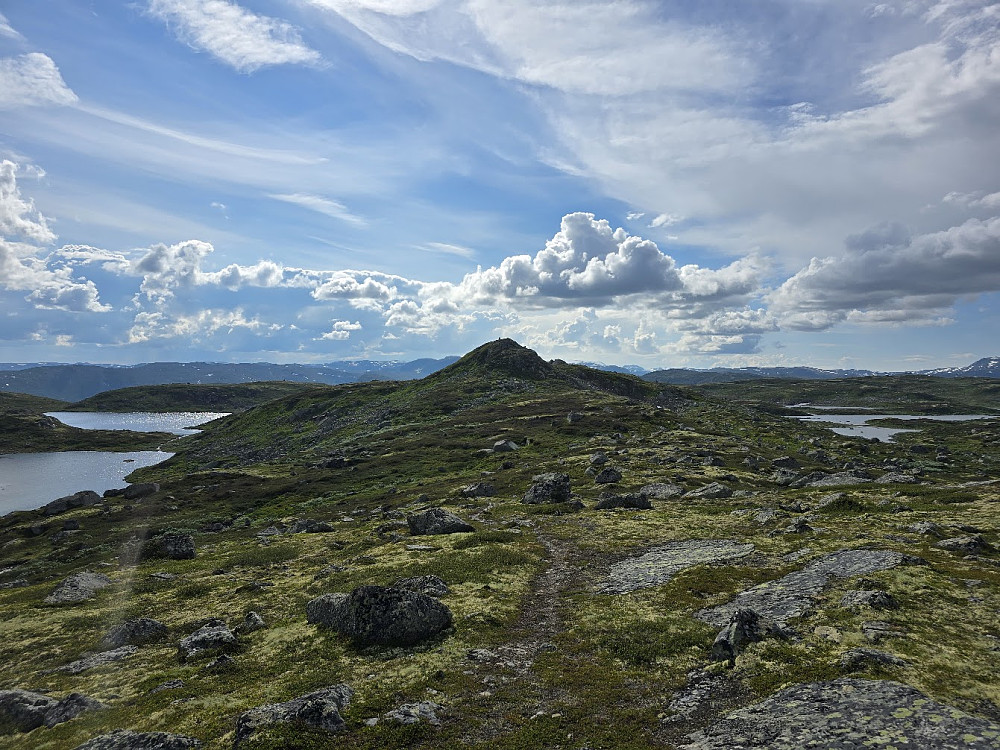 Mot Kvasshovda