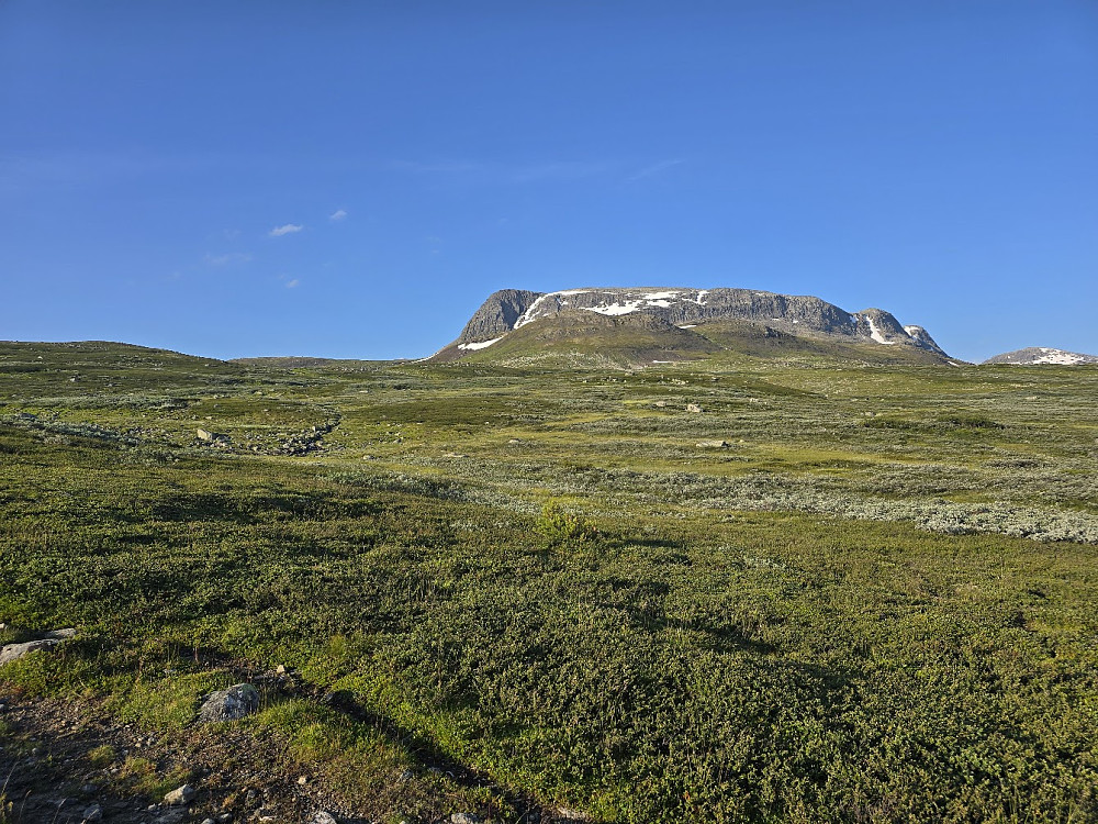 Skravet bresker seg