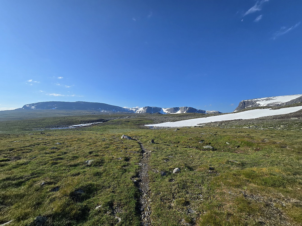 Frodig opp mot skaret
