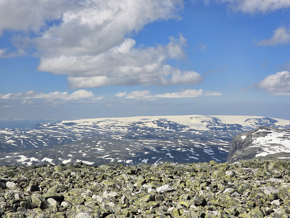 Hardangerjøkulen sett fra toppen av Folarskardsnuten