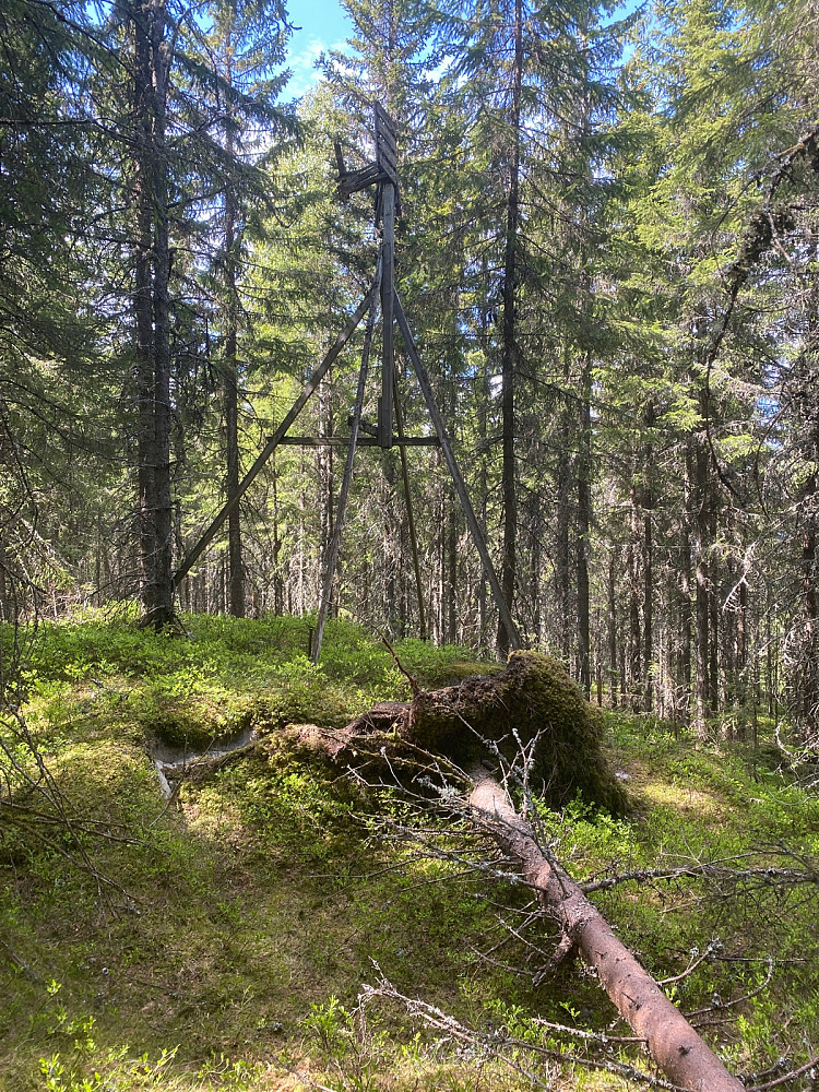 Klatra ikkje opp i tårnet i dag.