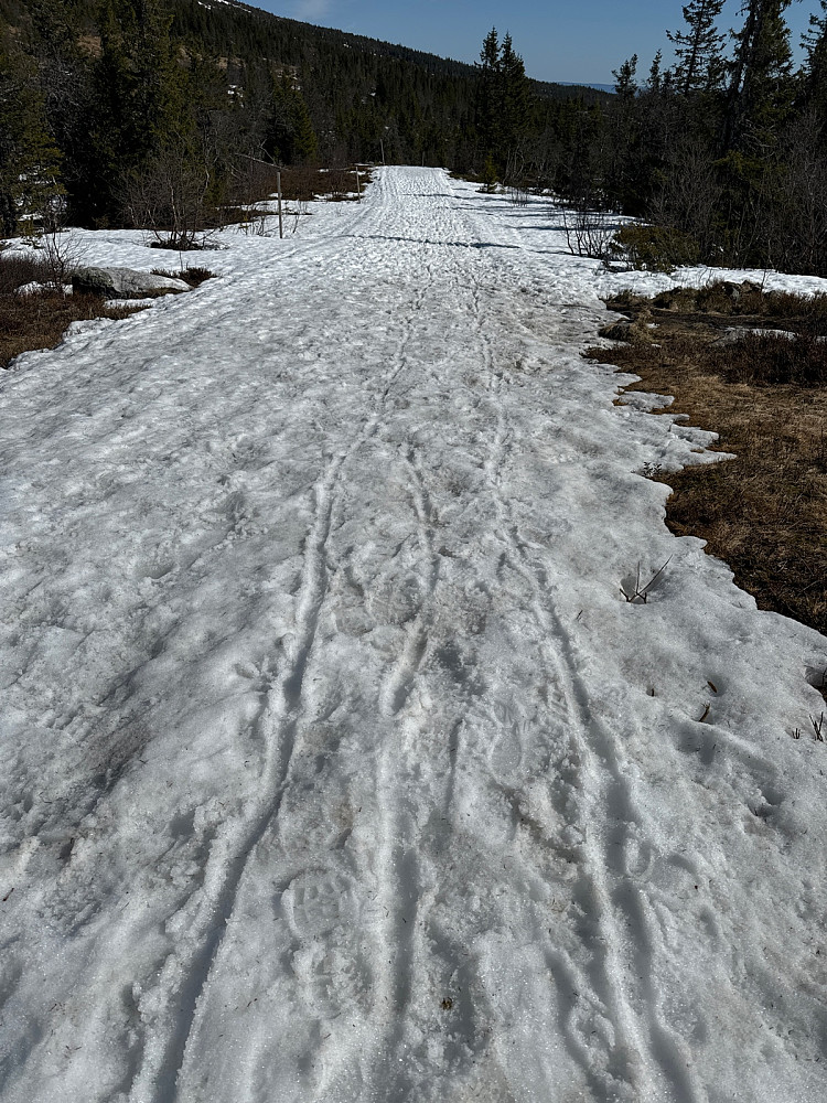 Stusslege skispor i fjella denne påska.