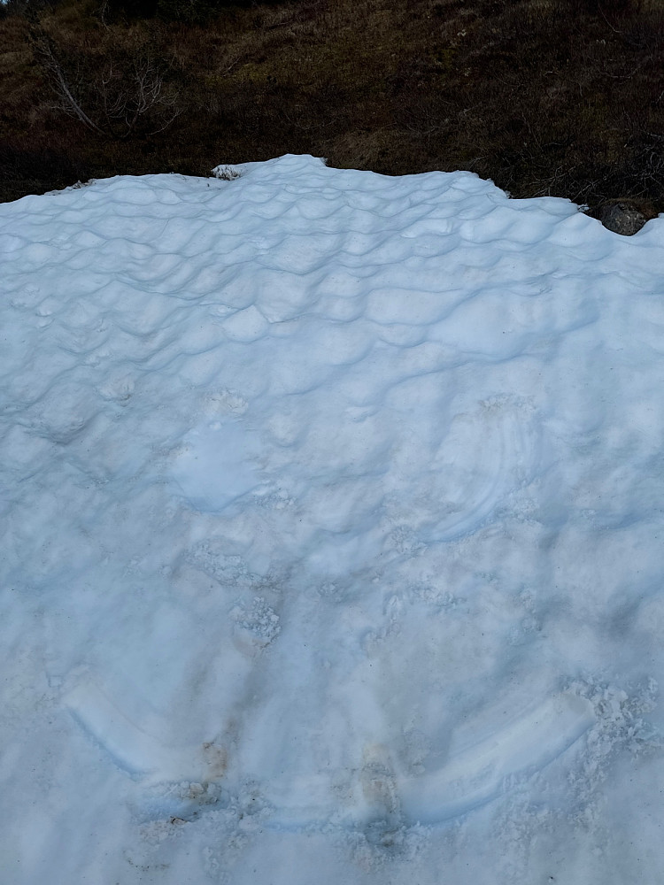 Sesongens siste engel i Øyerfjell