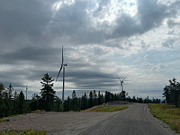 Garm_20250713_6873aa4836761.jpg
