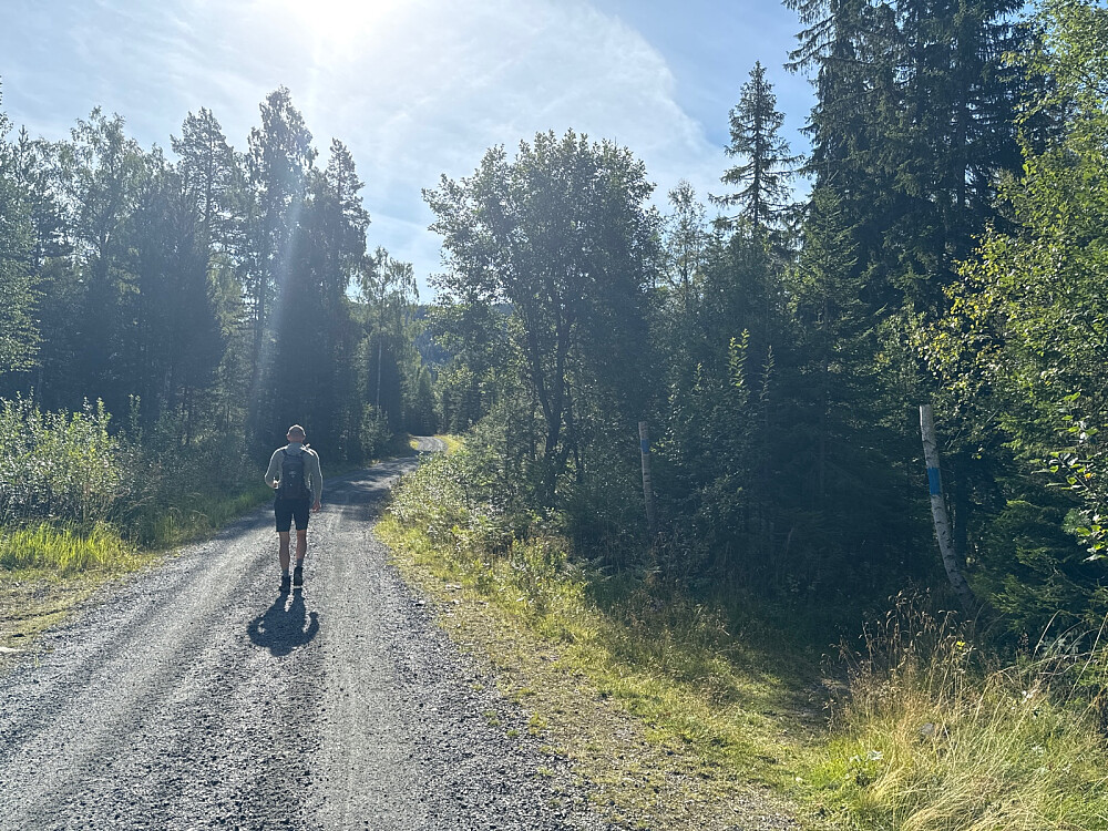 Hmmm... Skal man lytte til erfarne fjellfolk å ta trygg, blåmerka sti, eller...