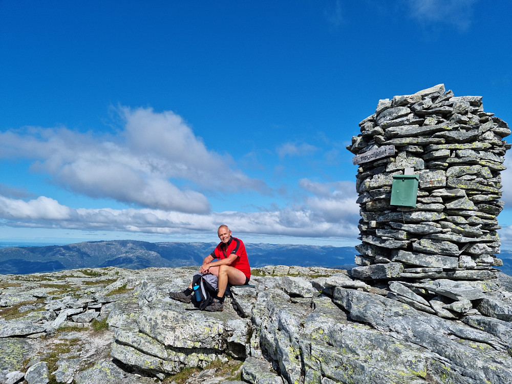 Toppvarden