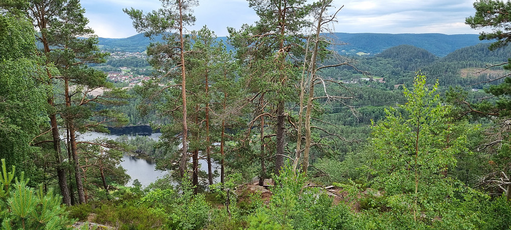 Utsikt fra en av småkollene i området
