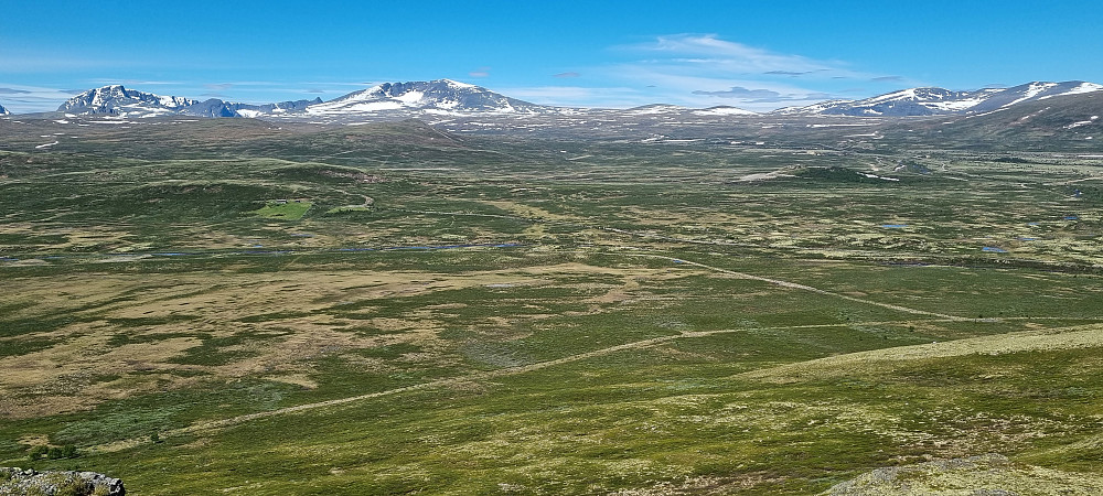 Mot Snøhettamassivet
