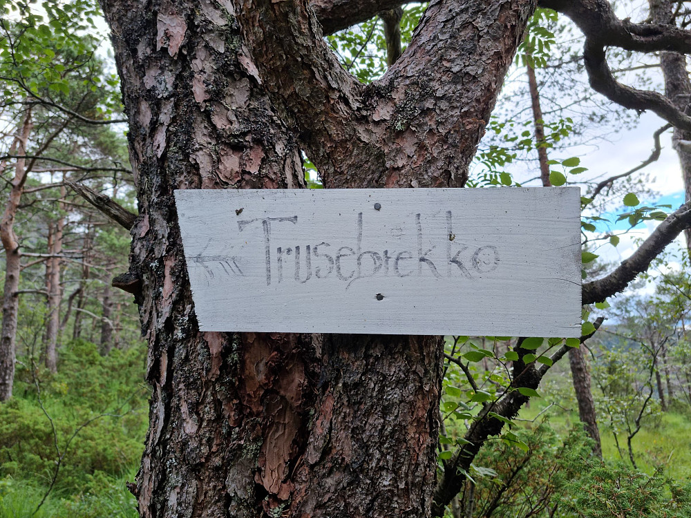 Trusebrekko