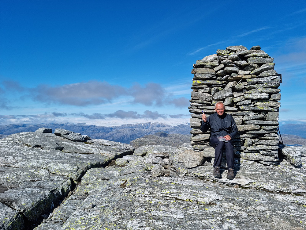 Toppvarden