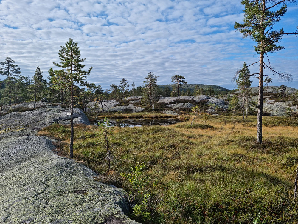 Fine svaberg etter hyttene