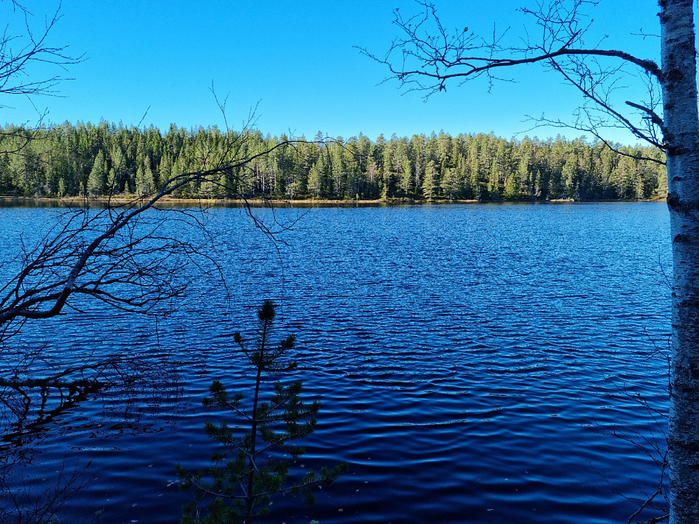 Idylliske Damtjønn