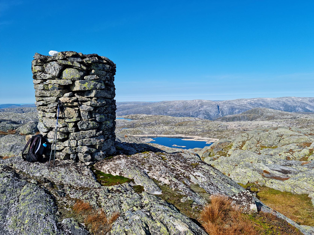 Toppvarden
