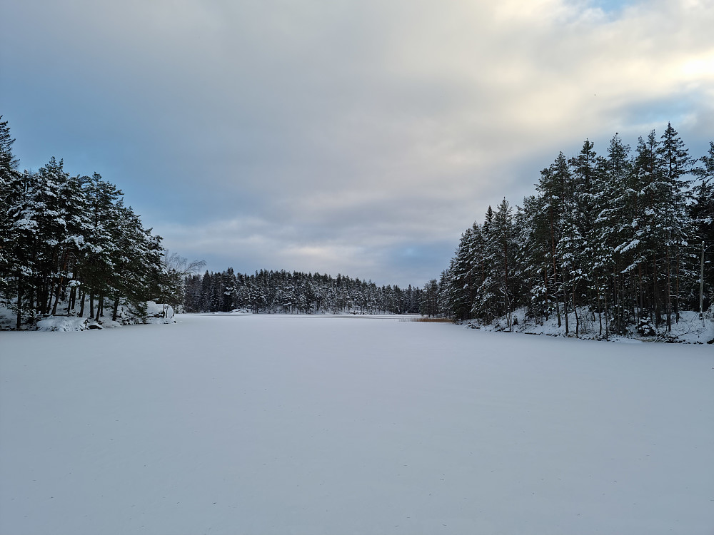 Åletjern