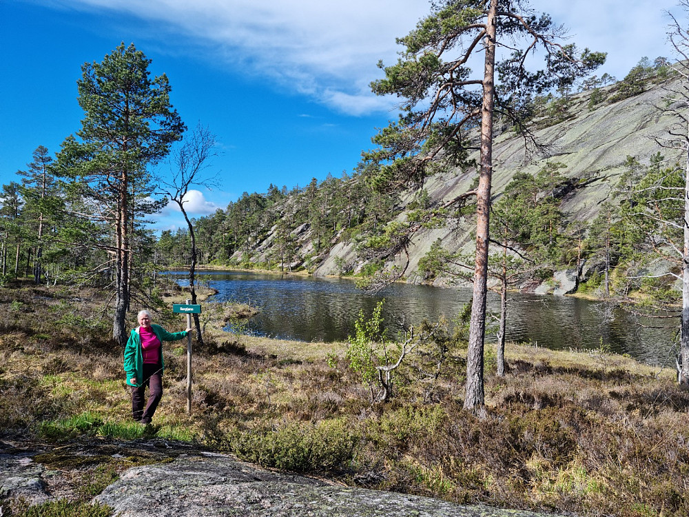 Idylliske Bergtjønn