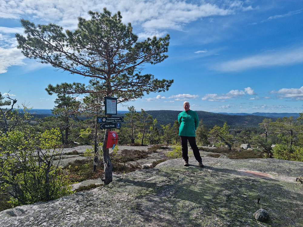Toppen med postkasse