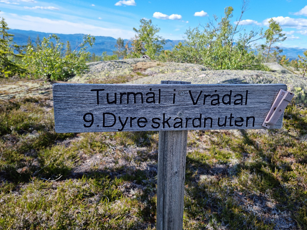 Vi gikk oppom Dyrskardnuten på vei ned her