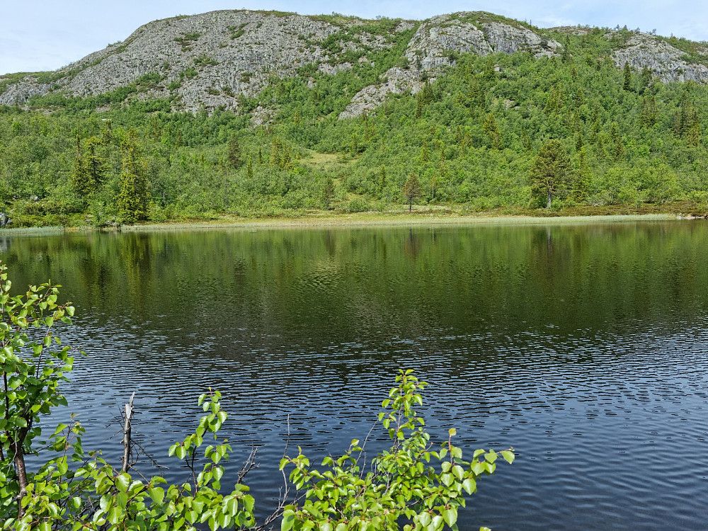 Torsdalstjønna