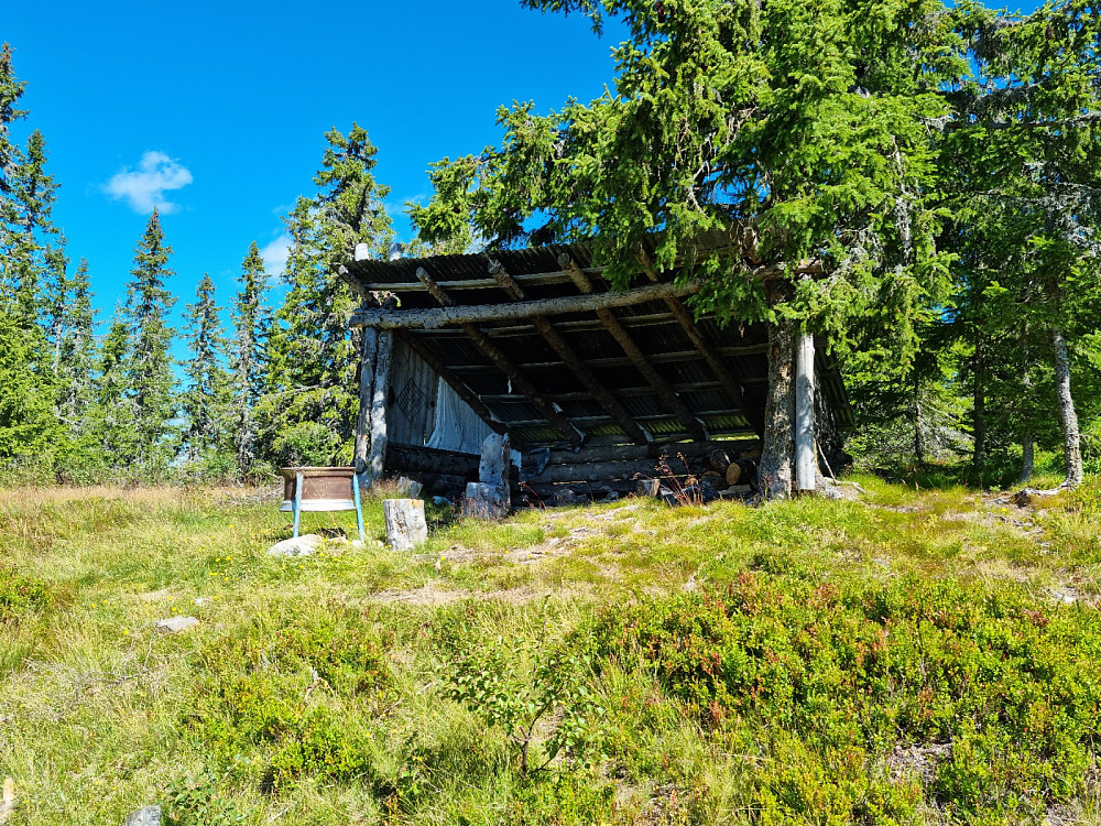 Gapahauken ved Rjupestaul