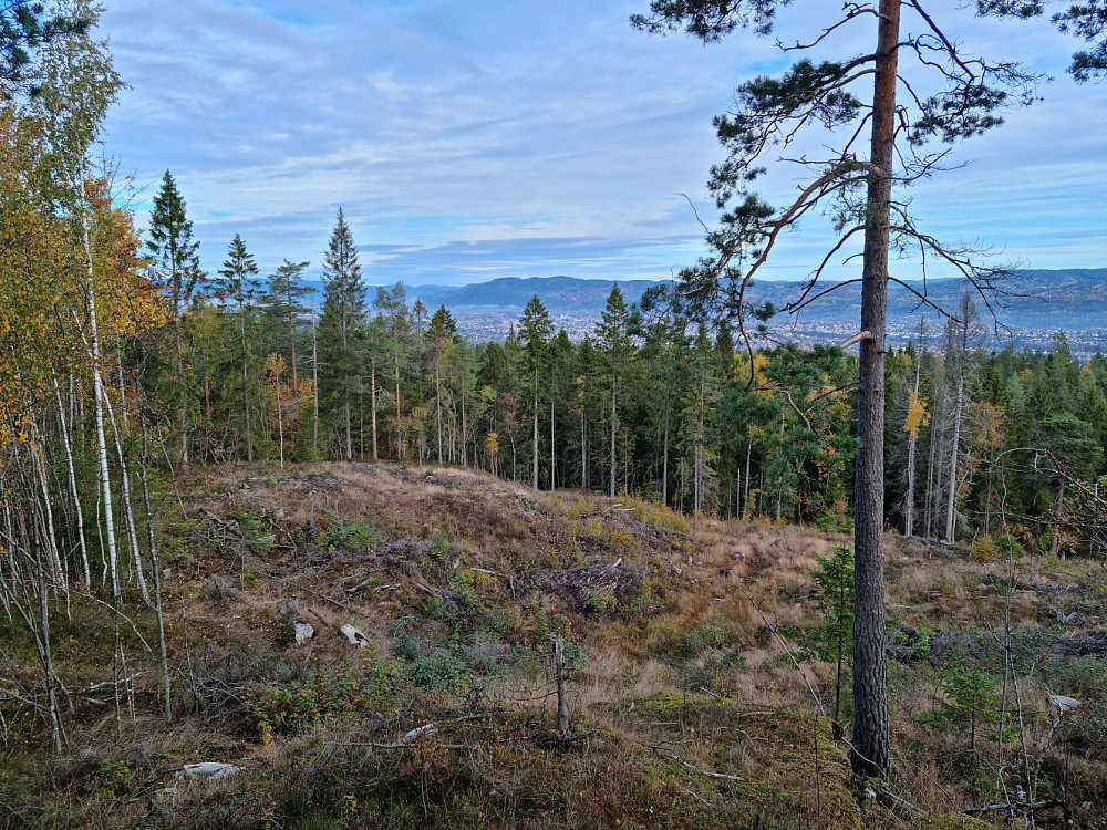 Gikk ned en annen sti fra Brentås. Utsikt over Skien