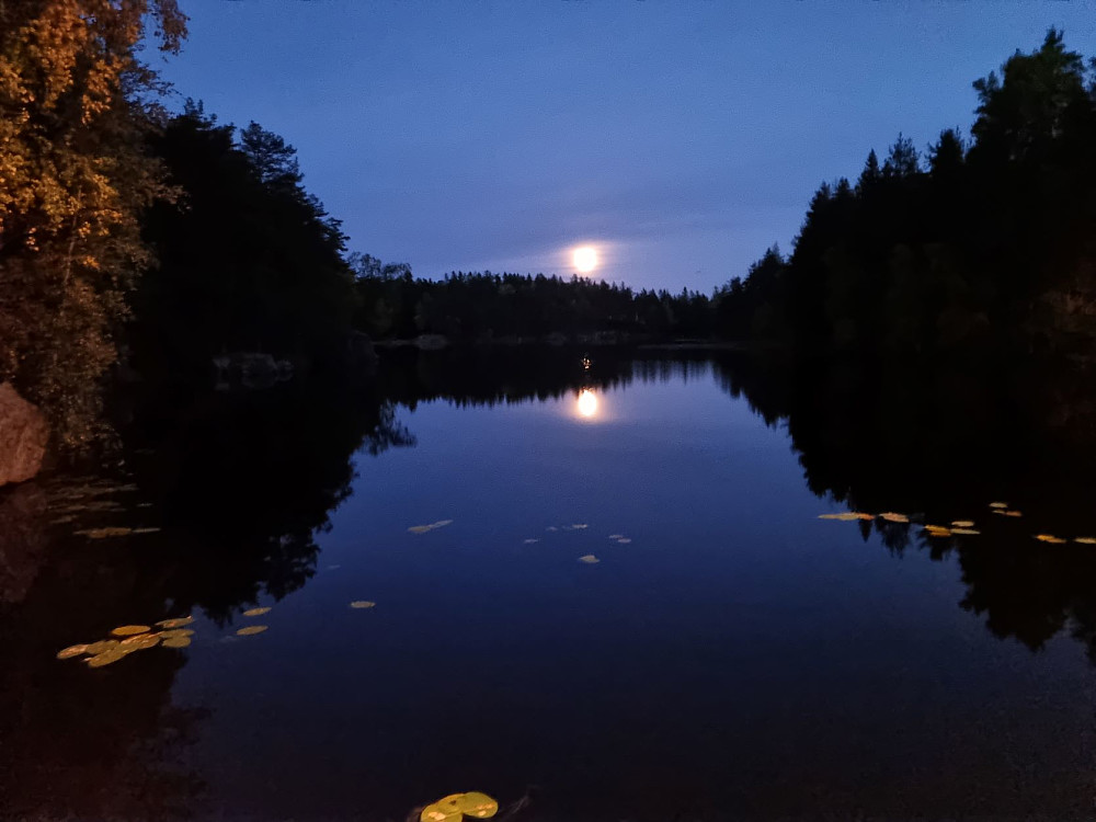 Åletjern i måneskinn. Var veldig vakkert